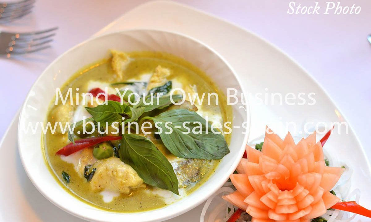 thai-green-curry-2169631_960_720