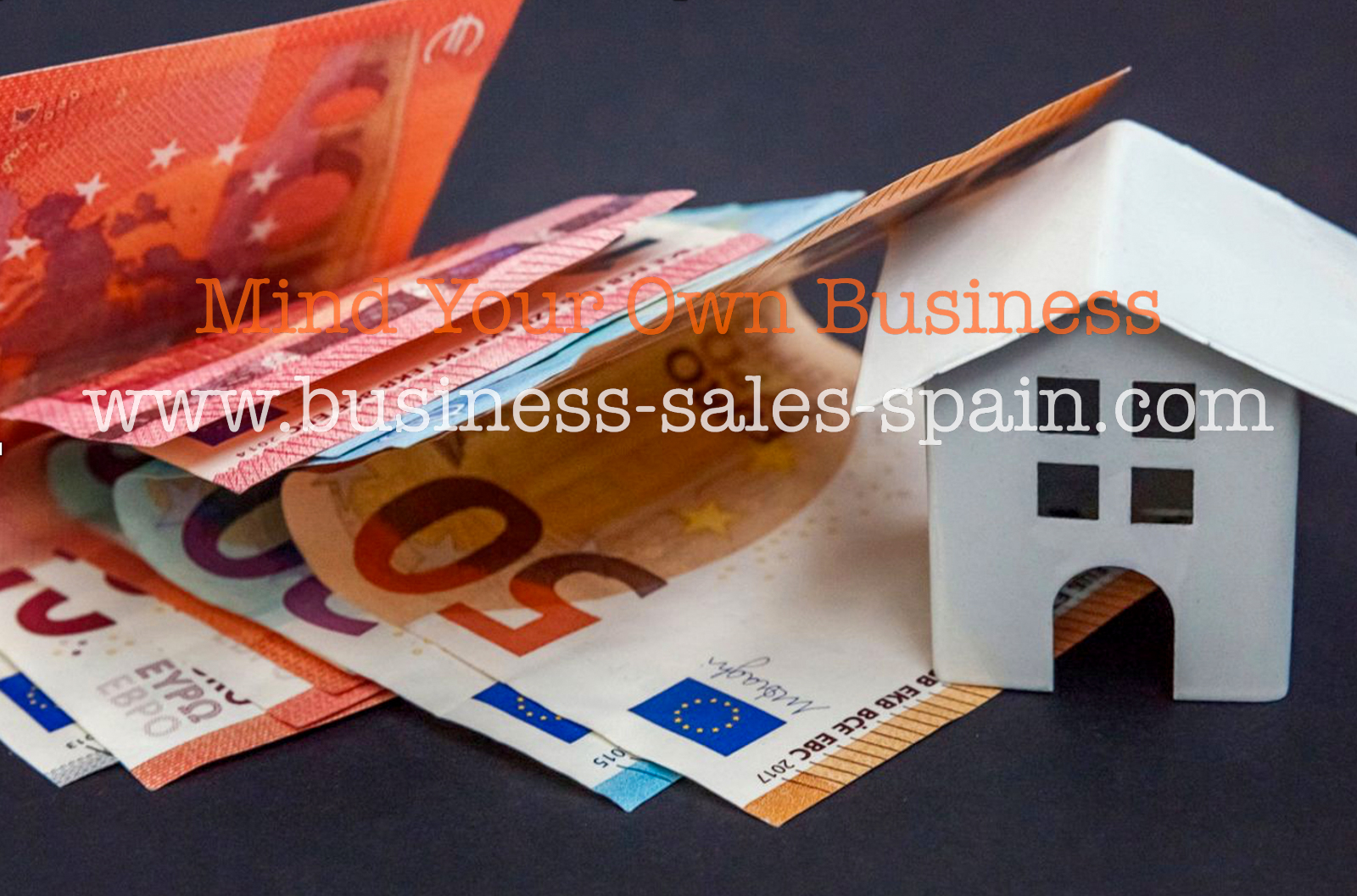 Well Established Property Rental and Management Business in Murcia.